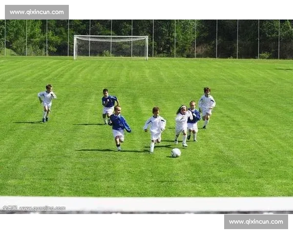 以足球比赛8为核心解读现代足球竞技魅力与战术博弈全景深度分析